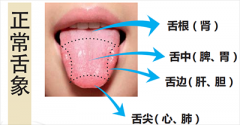 正常舌象與望舌的意義