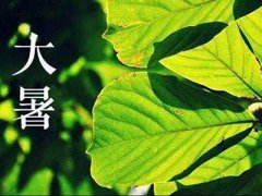 大暑節氣斗指丙，衣食住行話養生